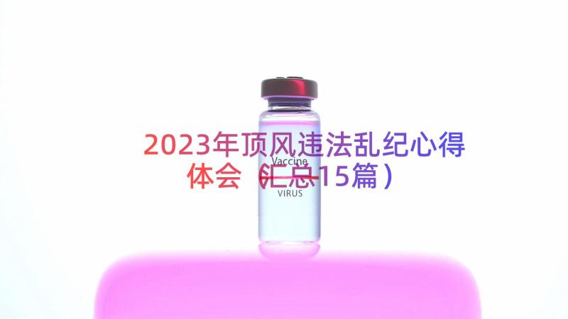 2023年顶风违法乱纪心得体会（汇总15篇）