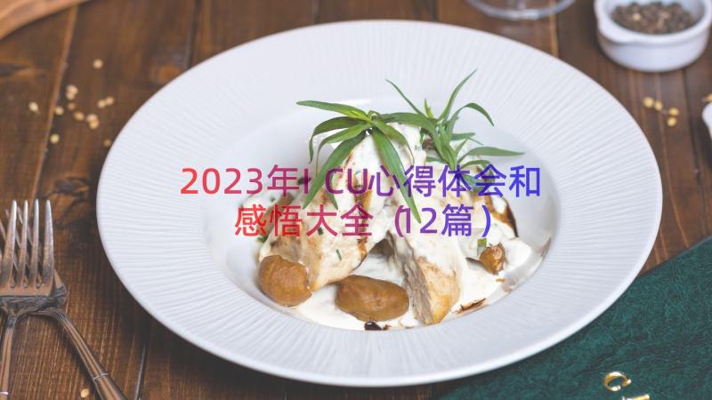 2023年ICU心得体会和感悟大全（12篇）