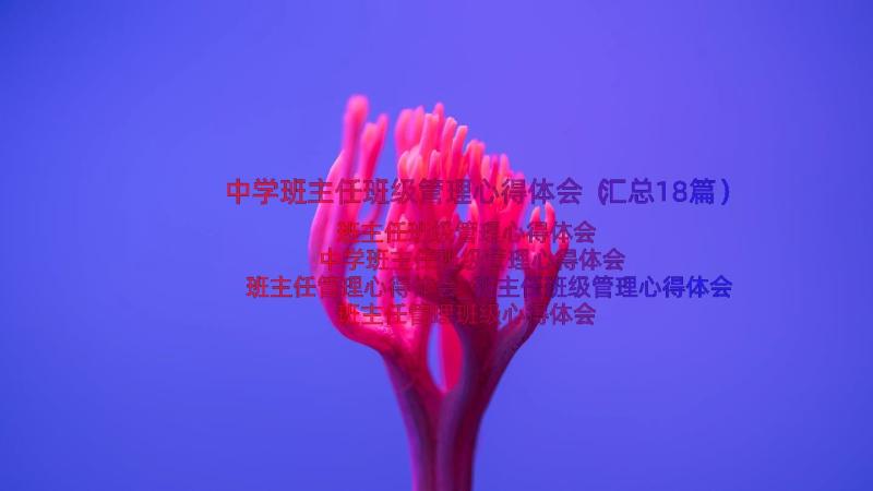 中学班主任班级管理心得体会（汇总18篇）