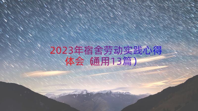 2023年宿舍劳动实践心得体会（通用13篇）