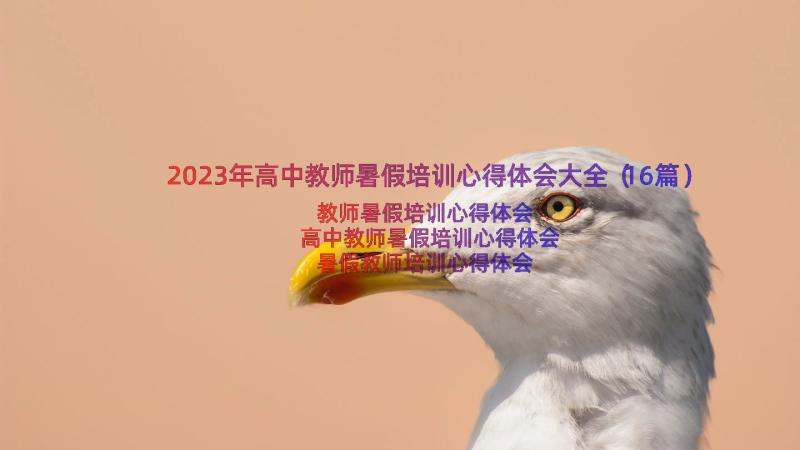 2023年高中教师暑假培训心得体会大全（16篇）