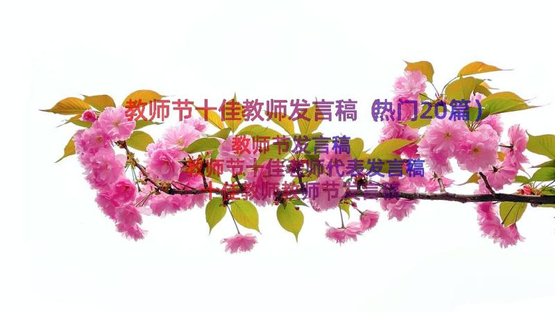 教师节十佳教师发言稿（热门20篇）