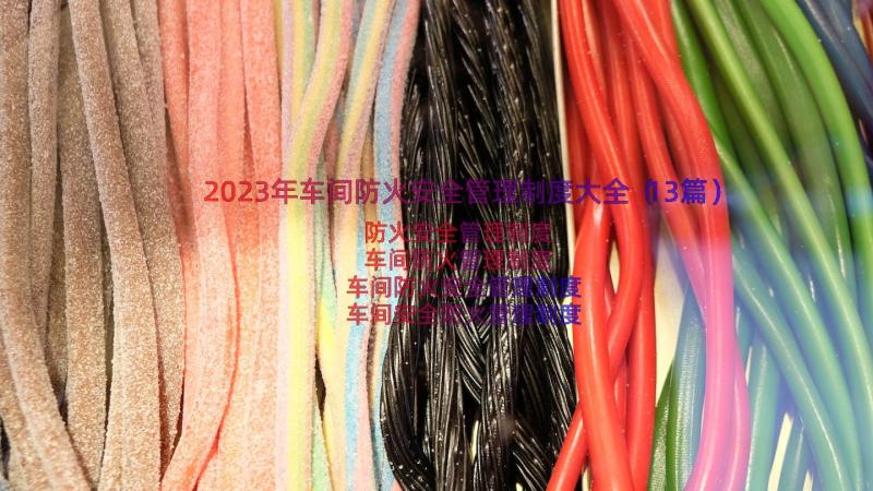 2023年车间防火安全管理制度大全（13篇）