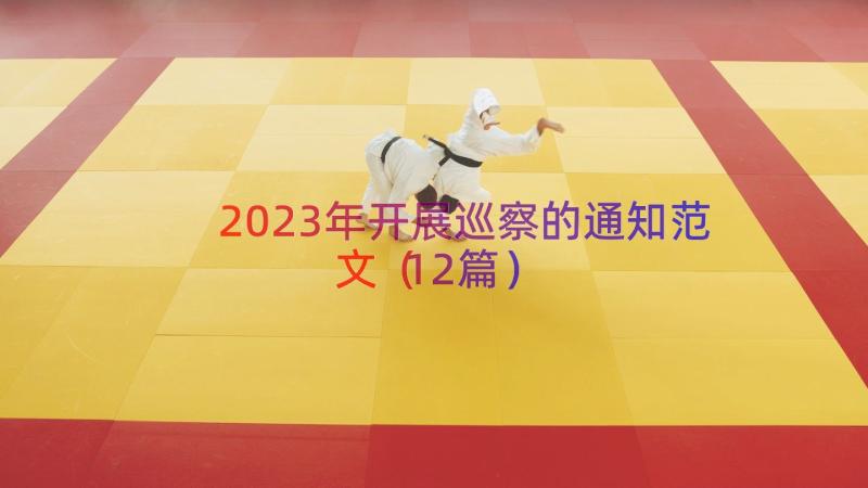 2023年开展巡察的通知范文（12篇）