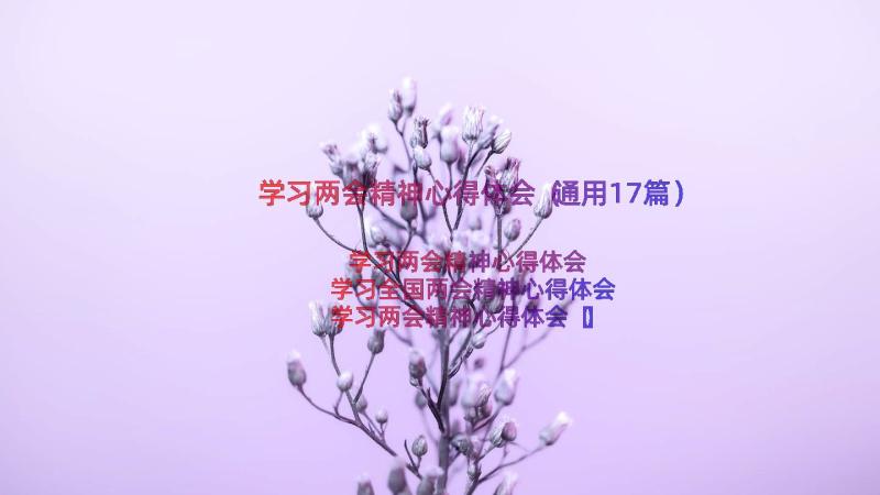 学习两会精神心得体会（通用17篇）