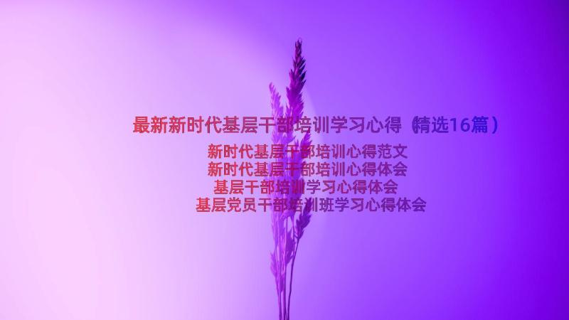 最新新时代基层干部培训学习心得（精选16篇）