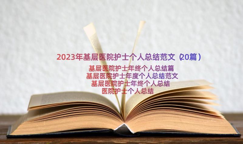 2023年基层医院护士个人总结范文（20篇）