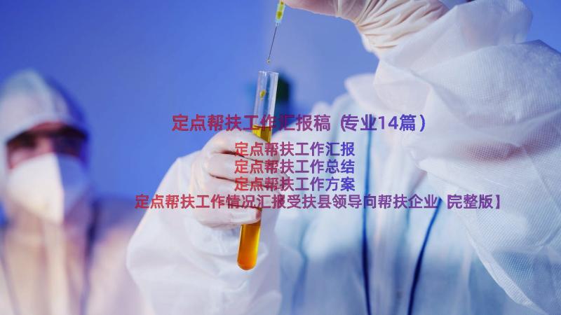 定点帮扶工作汇报稿（专业14篇）