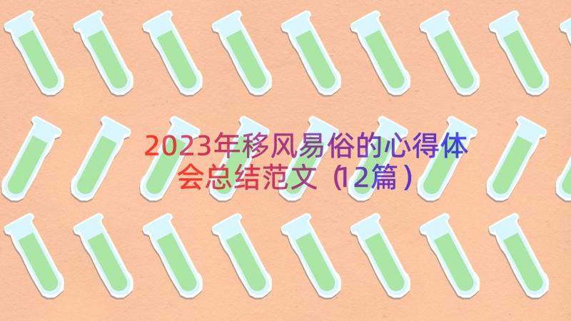 2023年移风易俗的心得体会总结范文（12篇）