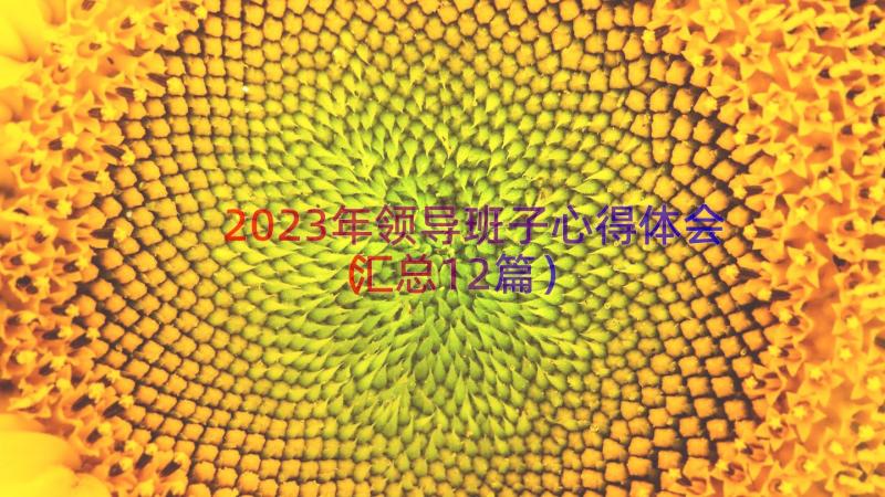 2023年领导班子心得体会（汇总12篇）