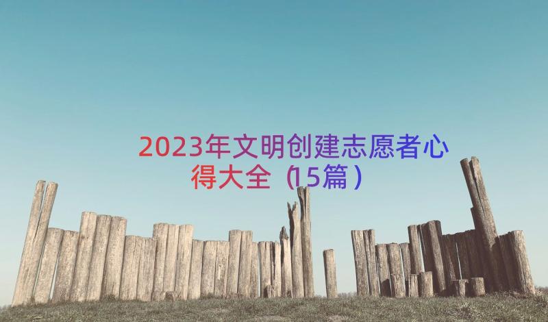 2023年文明创建志愿者心得大全（15篇）