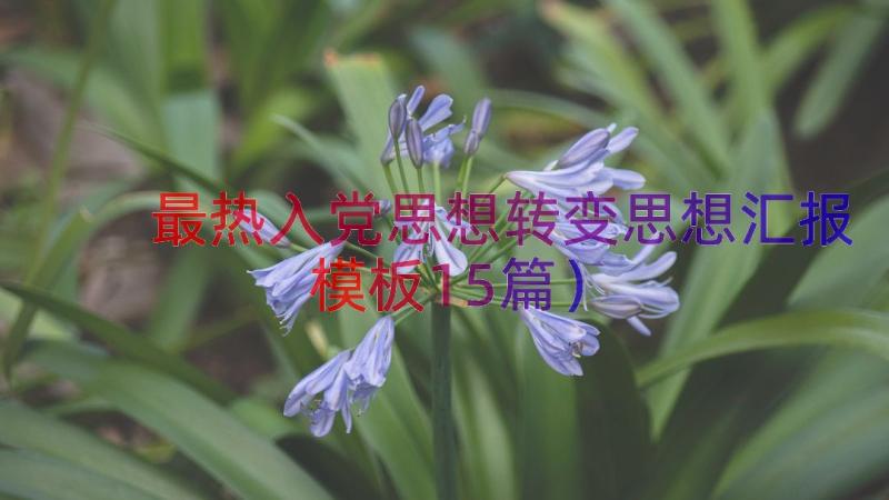 最热入党思想转变思想汇报（模板15篇）