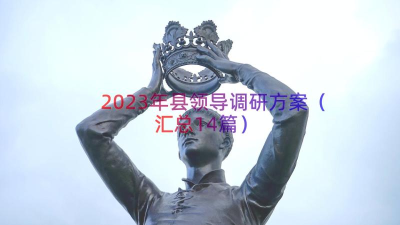 2023年县领导调研方案（汇总14篇）