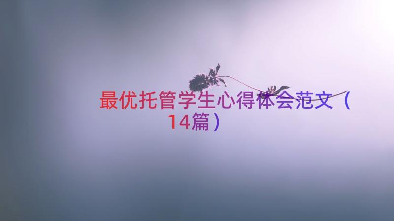 最优托管学生心得体会范文（14篇）