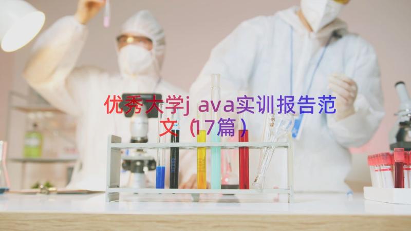 优秀大学java实训报告范文（17篇）