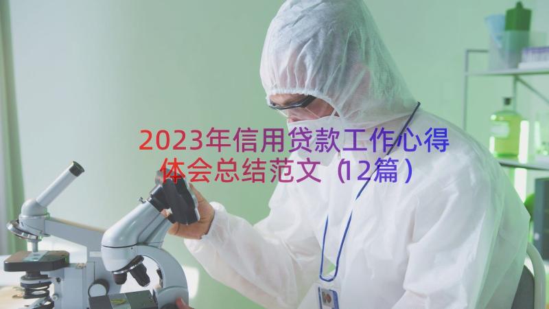 2023年信用贷款工作心得体会总结范文（12篇）