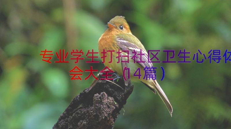 专业学生打扫社区卫生心得体会大全（14篇）