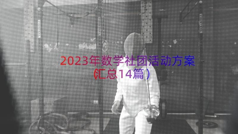 2023年数学社团活动方案（汇总14篇）