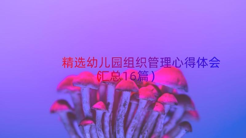 精选幼儿园组织管理心得体会（汇总16篇）