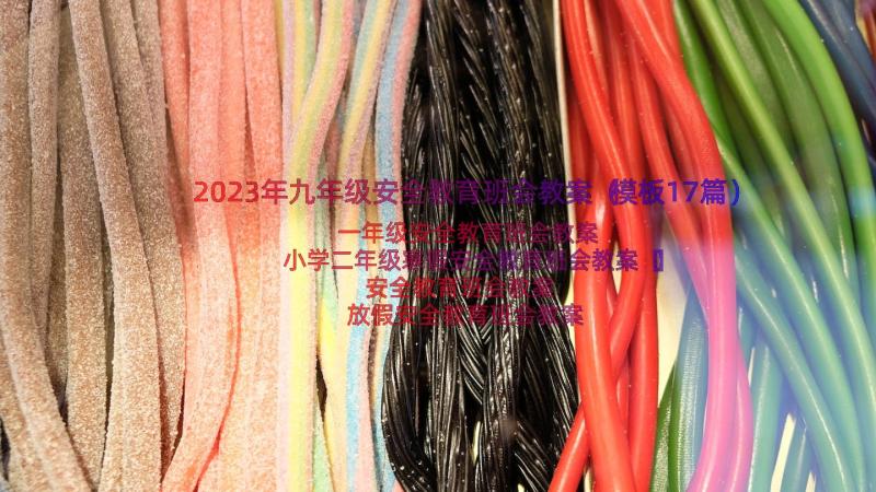 2023年九年级安全教育班会教案（模板17篇）