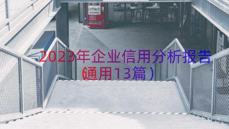 2023年企业信用分析报告（通用13篇）