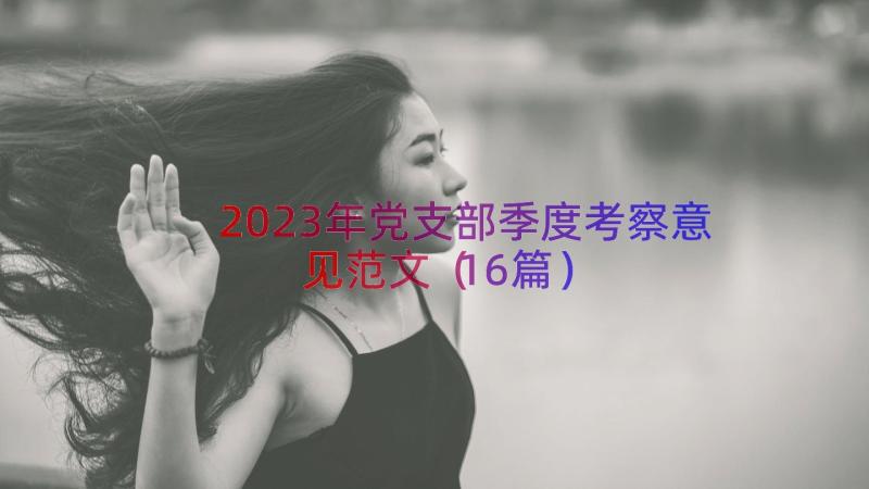 2023年党支部季度考察意见范文（16篇）