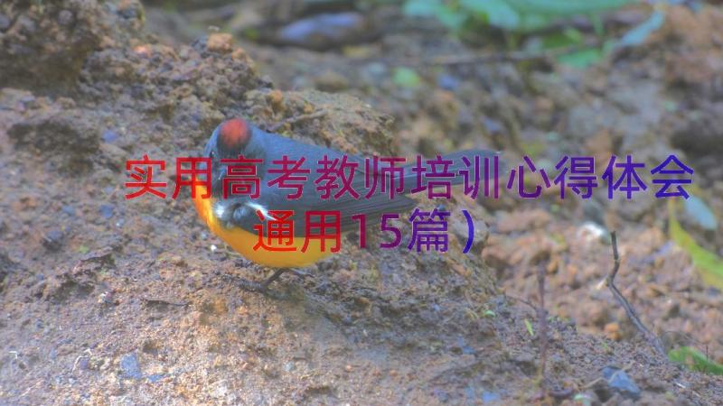 实用高考教师培训心得体会（通用15篇）