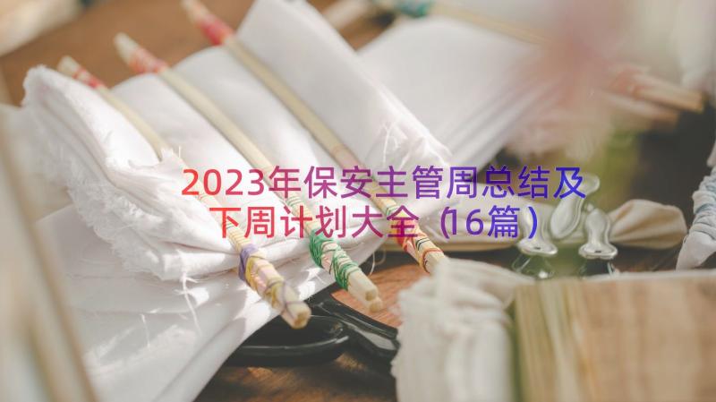 2023年保安主管周总结及下周计划大全（16篇）