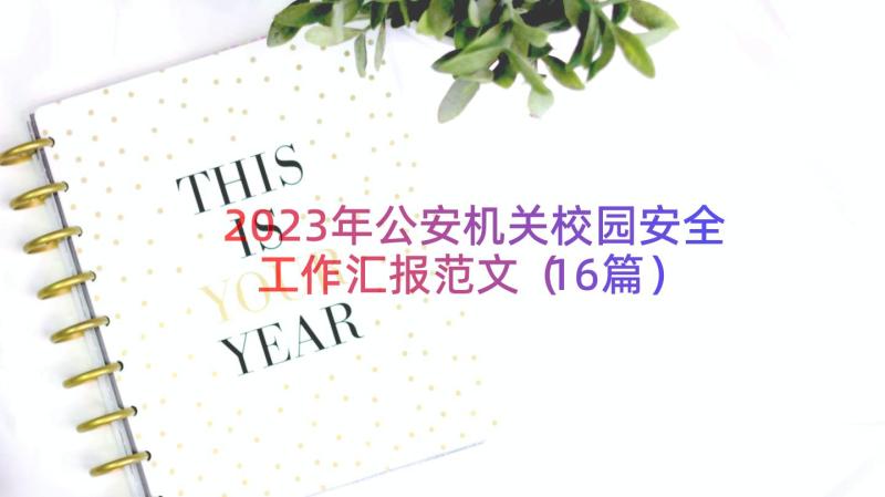 2023年公安机关校园安全工作汇报范文（16篇）