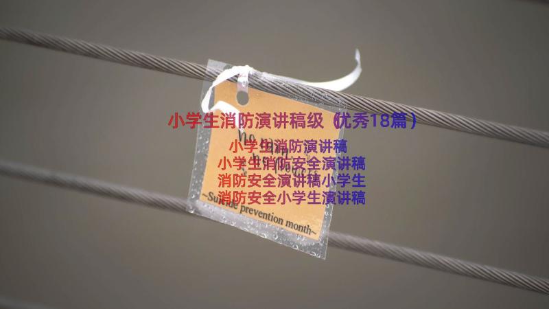 小学生消防演讲稿级（优秀18篇）