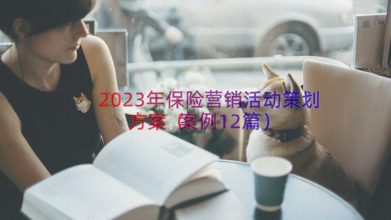 2023年保险营销活动策划方案（案例12篇）