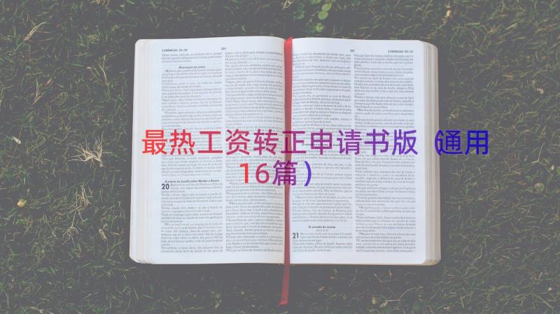 最热工资转正申请书版（通用16篇）