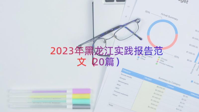 2023年黑龙江实践报告范文（20篇）