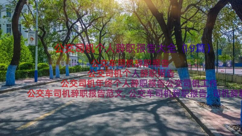 公交司机个人辞职报告大全（19篇）