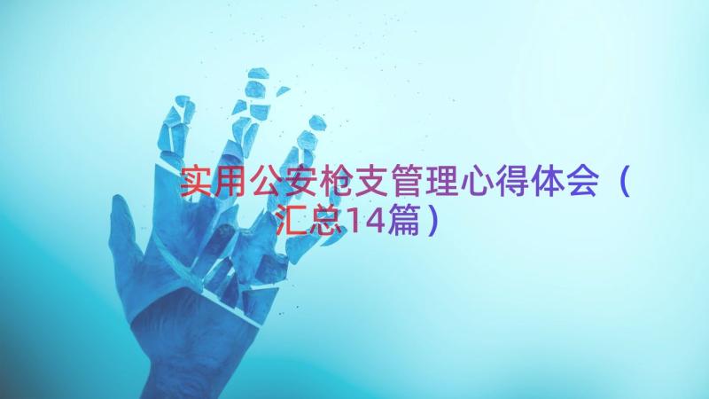 实用公安枪支管理心得体会（汇总14篇）