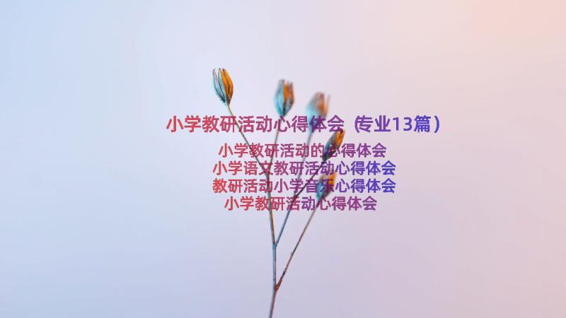 小学教研活动心得体会（专业13篇）