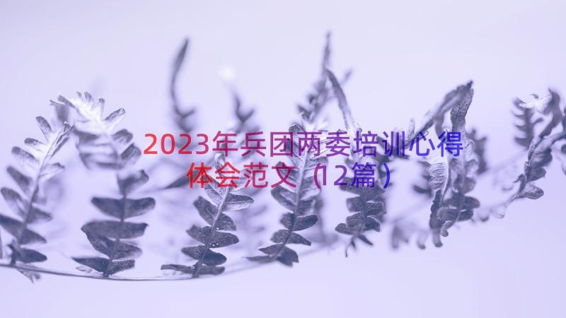 2023年兵团两委培训心得体会范文（12篇）