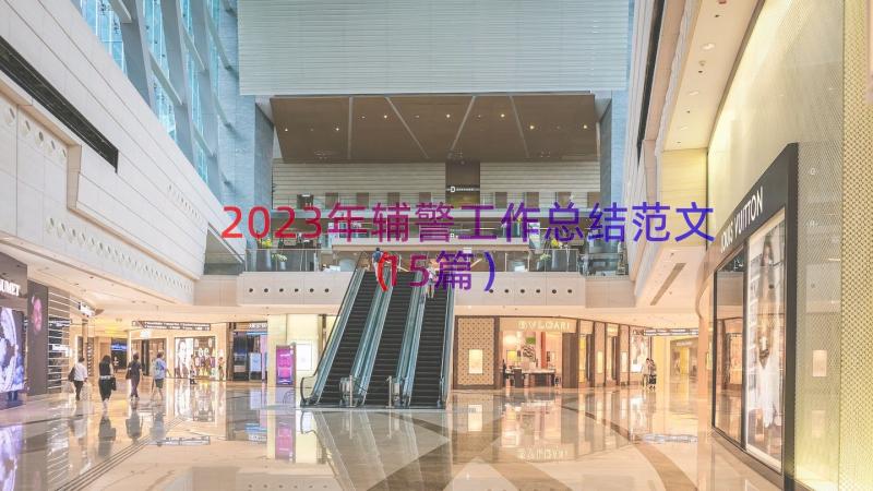 2023年辅警工作总结范文（15篇）