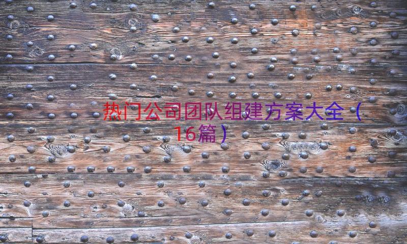 热门公司团队组建方案大全（16篇）