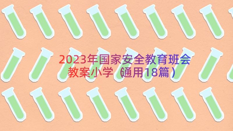 2023年国家安全教育班会教案小学（通用18篇）