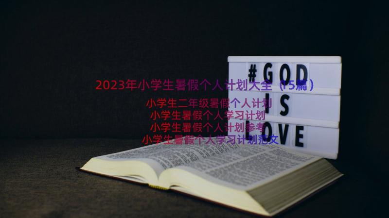 2023年小学生暑假个人计划大全（15篇）