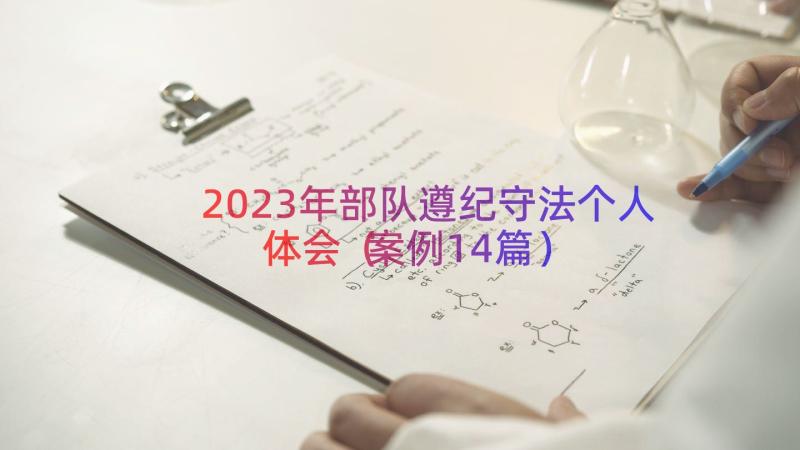 2023年部队遵纪守法个人体会（案例14篇）