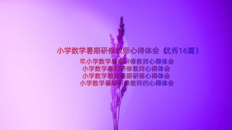 小学数学暑期研修教师心得体会（优秀16篇）