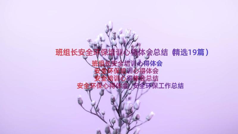 班组长安全环保培训心得体会总结（精选19篇）