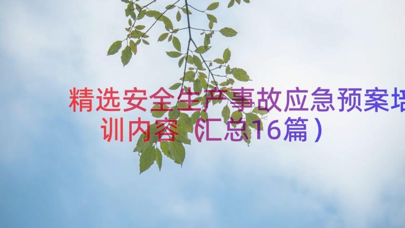 精选安全生产事故应急预案培训内容（汇总16篇）