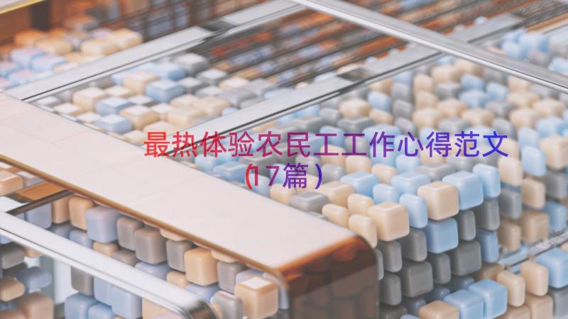 最热体验农民工工作心得范文（17篇）