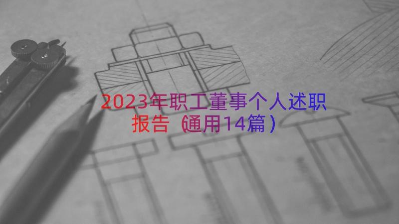 2023年职工董事个人述职报告（通用14篇）