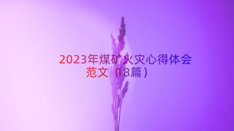 2023年煤矿火灾心得体会范文（18篇）