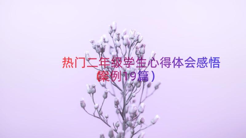 热门二年级学生心得体会感悟（案例19篇）