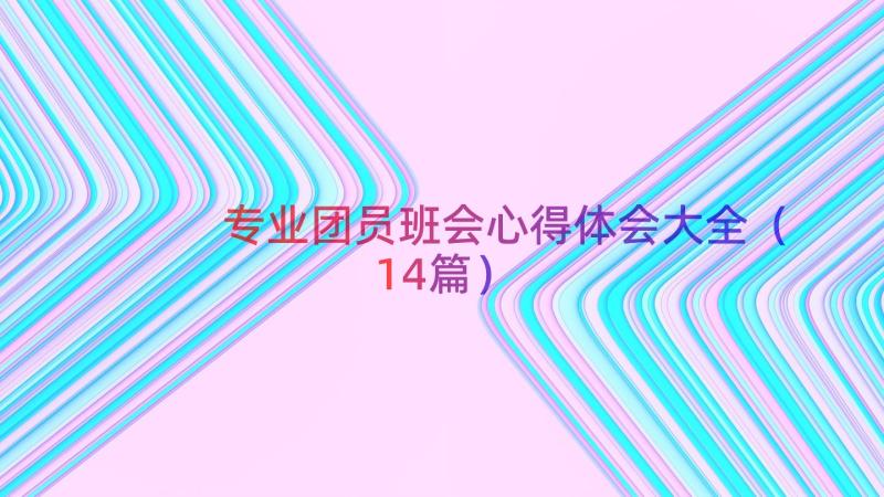 专业团员班会心得体会大全（14篇）